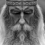 Bulbulator772's Avatar'