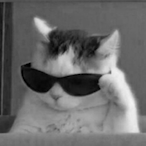 XxHai7er_iQxX's Avatar'