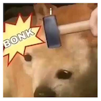 Bonk._.'s Avatar'