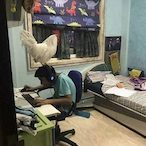 BurgeredBob's Avatar'