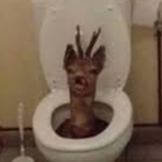 FruityOrigi's Avatar'