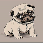 Pockylly's Avatar'