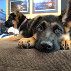 WhoYouPeakin's Avatar'