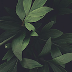 ShuaI.JustIn's Avatar'