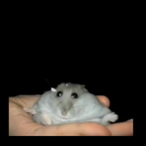 snipersmurf74's Avatar'