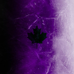 DooDooFart_'s Avatar'
