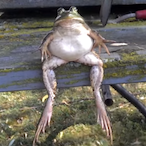 Jeffersn23's Avatar'