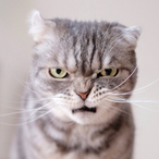 YOU FREELO2904's Avatar'