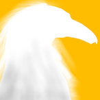 SenorFSeagull's Avatar'