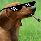runtcena's Avatar'