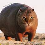 ToxicTrevor95's Avatar'