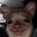 Nutellaeu's Avatar'