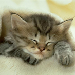 YouGoNightNight's Avatar