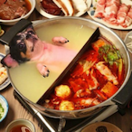 Guihuahua's Avatar'