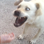 I win again L's Avatar'