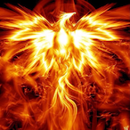 VisualSnow7908's Avatar'