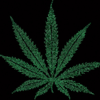 HellW33D's Avatar'