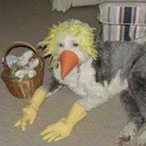 Starhawk611's Avatar'