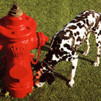 The_Working_Man's Avatar