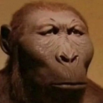monke_moment's Avatar'