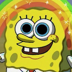 roccoislive's Avatar'
