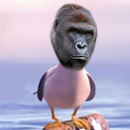 ItsDollarz's Avatar'