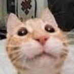 TheDog_'s Avatar'