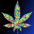 LigMaKush's Avatar'
