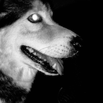 Rxinbow-_inside-'s Avatar'