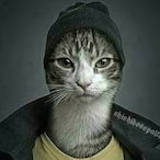 SteadyRug998739's Avatar'