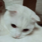 QKRMQKRM's Avatar'