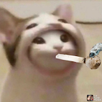 LitningMcMeth's Avatar'
