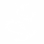 kevindragonx's Avatar'