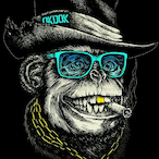NotRaVeN9527's Avatar'
