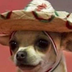 befdu's Avatar'