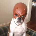 ChansTheShagger's Avatar'