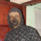 wWw.E621.com's Avatar'