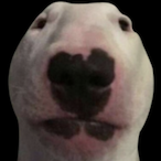 StinkyHippie's Avatar'
