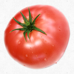 dn-tomato0114's Avatar'