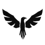 Hawk_The_DJ's Avatar'