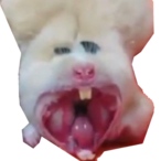 Myload.exe's Avatar'