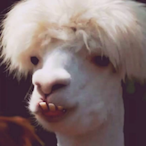 EL_Zakolak0's Avatar'