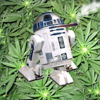 R2-Dur2's Avatar'