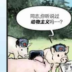 duojiduoji's Avatar'