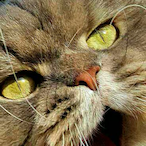 Smg12frag.'s Avatar'