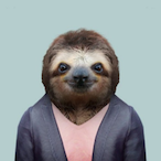 A_Gopnik_Sloth's Avatar'