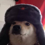 SecretAgentChip's Avatar'