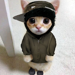 KiwiiComQuejo's Avatar'
