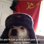 LostClover81's Avatar'