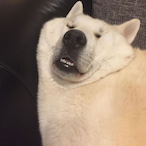 johnjerksalot's Avatar'